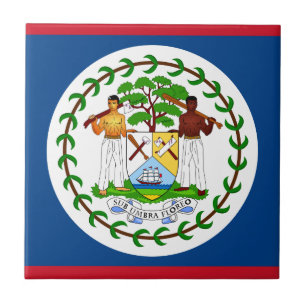 Carreau Drapeau du Belize