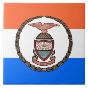 Carreau Drapeau du Bronx (arrondissement de New York)