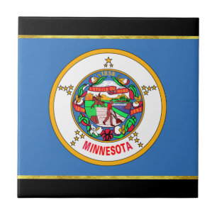 Carreau Drapeau du Minnesota