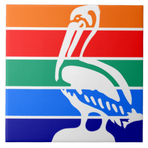 Carreau Drapeau urbain de Saint-Pétersbourg (Floride)