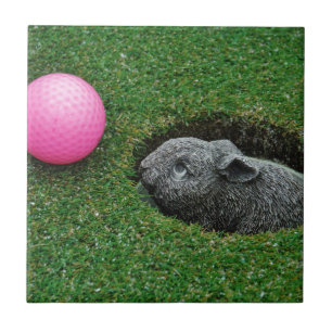 CARREAU DSCF0652.JPG