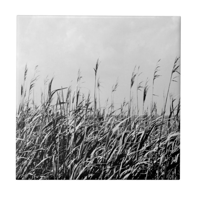 Carreau Dune Triptyque III (Devant)