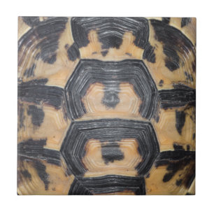 Carreau Écaille de tortue