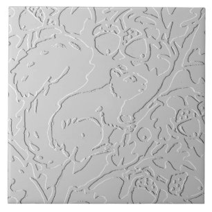 Carreau Écureuil blanc gris noir boisé boisé maïs