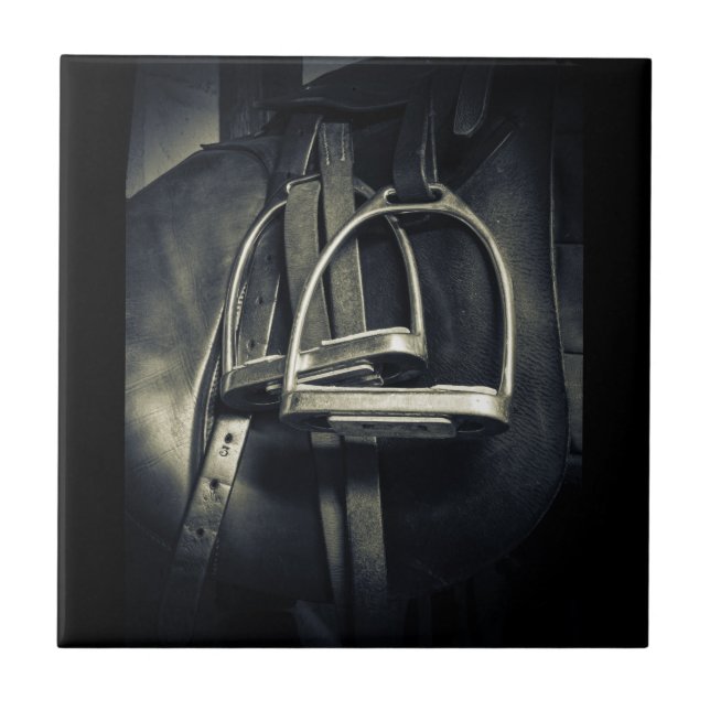 Carreau Élégant bâton d'argent sur selle d'équitation angl (Devant)