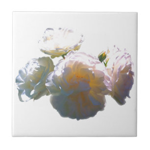 Carreau Elégant blanc pêche orange roses