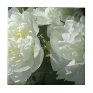 Carreau Elégant blanc peony floral blanc photo