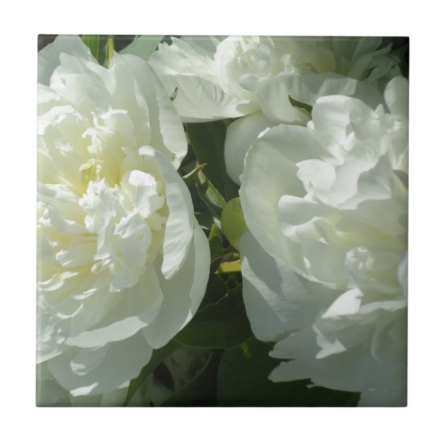 Carreau Elégant blanc peony floral blanc photo (Devant)