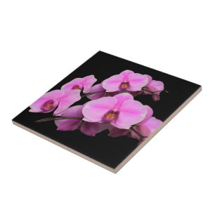 Carreau Élégant orchidées roses Phalaenopsis sur noir