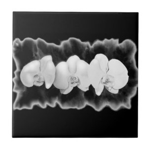 Carreau Elégante orchidée noire blanche