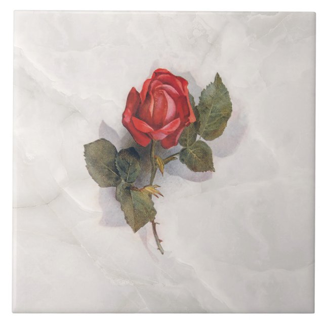 Carreau Elégante Rose rouge sur marbre gris BG (Devant)