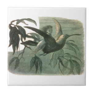 Carreau Elf Fairies Elves Lune Scène nocturne Oiseau Volan