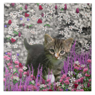 Carreau Emma en fleurs I - petit chat gris de Kitty