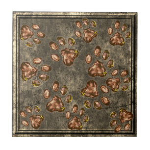 Carreau Empreinte de patte Motif en cuivre de laiton encad
