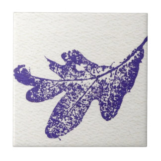 Carreau Empreinte nature chêne blanc en carrelage bleu.