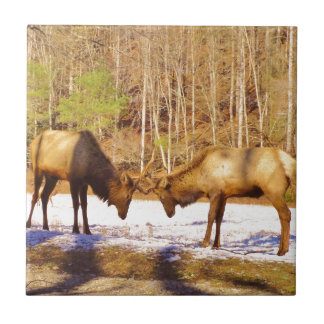 Carreau En Céramique 2~ deux Bull Elk dans la neige