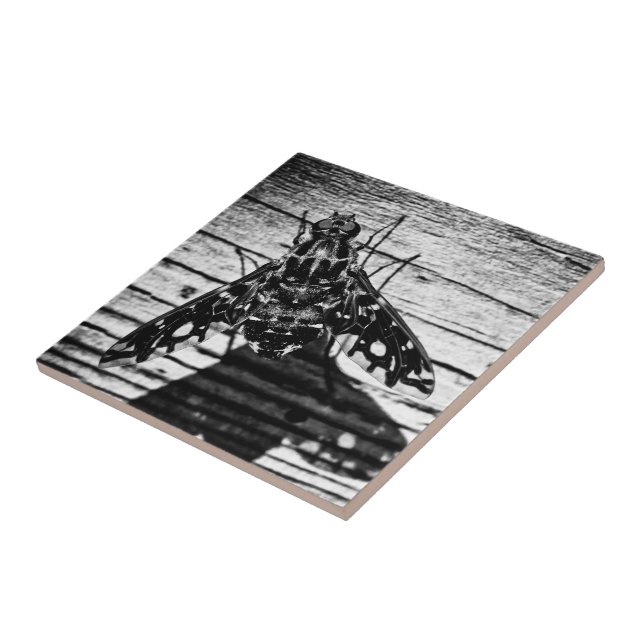 CARREAU EN CÉRAMIQUE 3 (Côté)