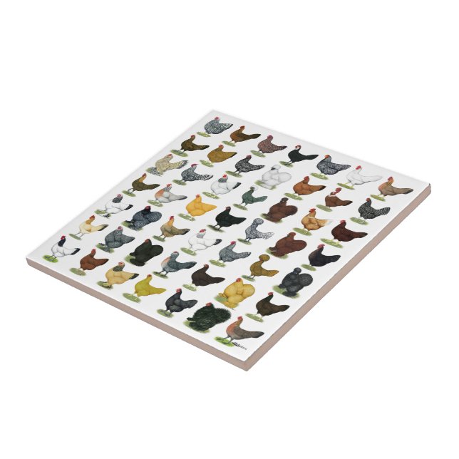 Carreau En Céramique 49 poules de poulet (Côté)