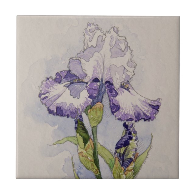 Carreau En Céramique 5327 Iris violets et blancs (Devant)