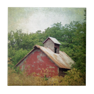 Carreau En Céramique Abandonné et surcultivé