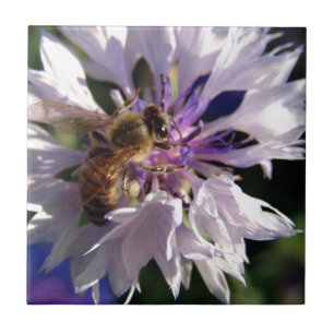 Carreau En Céramique Abeille et fleurs bleues