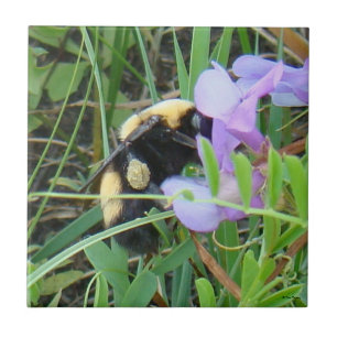 Carreau En Céramique Abeille sauvage F2 sur des fleurs sauvages violett