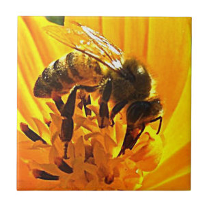 Carreau En Céramique Abeille sur une fleur