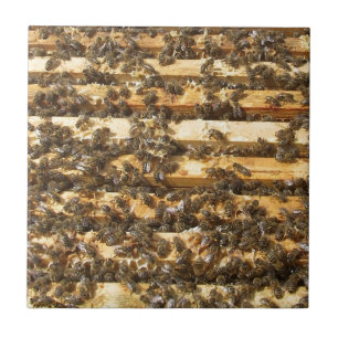 Carreau En Céramique Abeilles de miel partout