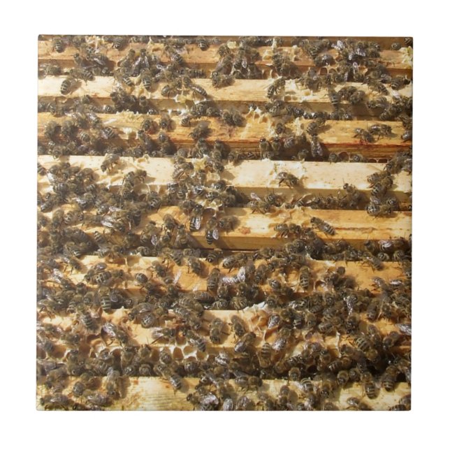 Carreau En Céramique Abeilles de miel partout (Devant)