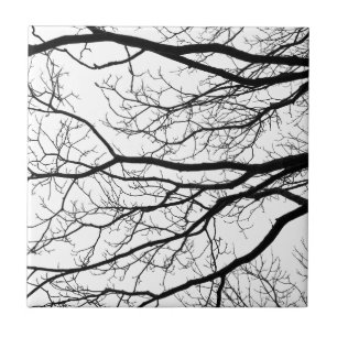 Carreau En Céramique Abrégé sur branches d'arbre noir et blanc