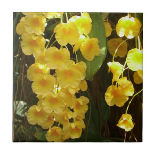 Carreau En Céramique Accrocher les orchidées jaunes Fleurs tropicales
