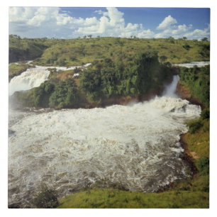 Carreau En Céramique Afrique, Ouganda, Parc national des chutes Murchis