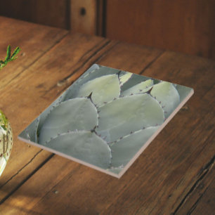 Carreau En Céramique Agave Cactus Style Plante du Sud-Ouest