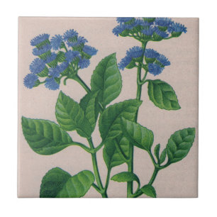 Carreau En Céramique ageratum bleu
