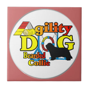 Carreau En Céramique agilité de collie barbu