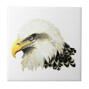 Carreau En Céramique Aigle d'aquarelle Oiseau Art de la faune