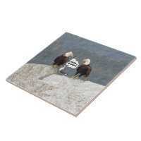 Aigles chauves drôles Seagull Faune Humour Cuisine