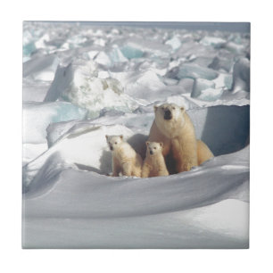 Carreau En Céramique Ajouter SLOGAN pour sauver les ours polaires arcti