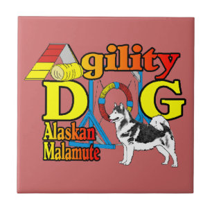 Carreau En Céramique Alaskan Malamute Agilité