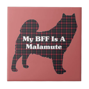 Carreau En Céramique Alaskan Malamute BFF