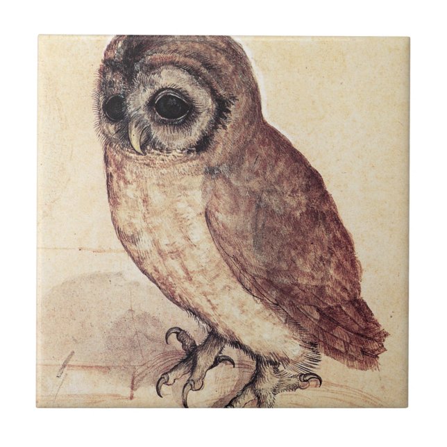 Carreau En Céramique Albrecht Durer la tuile de petit hibou (Devant)