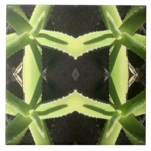 Carreau En Céramique Aloe Motif 3h