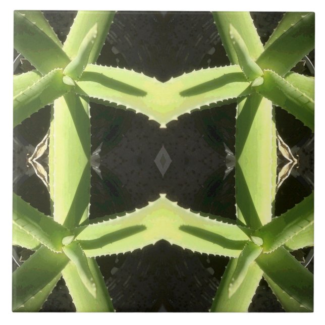 Carreau En Céramique Aloe Motif 3h (Devant)