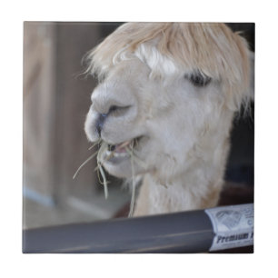 Carreau En Céramique Alpaca, blanc