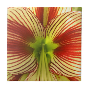 Carreau En Céramique Amaryllis de papillon