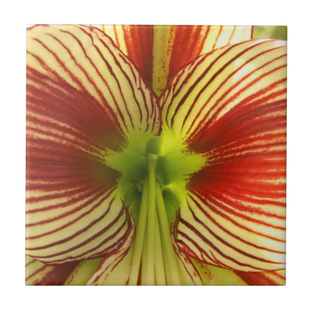 Carreau En Céramique Amaryllis de papillon (Devant)