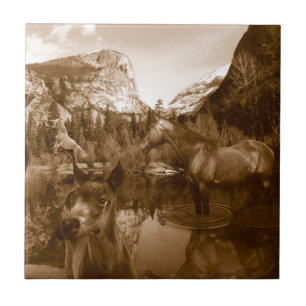 Carreau En Céramique américain