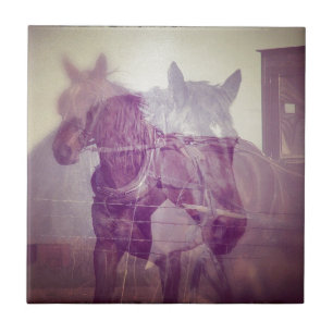 Carreau En Céramique Amish chevaux collage numérique