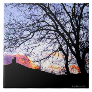 Carreau En Céramique "Amour au coucher du soleil : Perte tuile