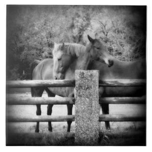 Carreau En Céramique Amour de cheval - paire de chevaux dans l'étreint